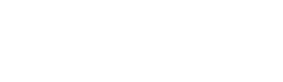 BOSS Networks logo
